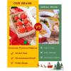 Katbite Tulip Cupcake Liners Holders 200PCS, Muffin Baking Cups, Cupcake Wrapper for Party, Wedding, Birthday, Christmas(Christmas)